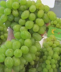 Hình ảnh: Nho Xanh Ninh Thuận VietGap