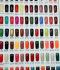 Hình ảnh: Nails Sơn OPI Hàng Usa Lì xì Mừng Đón Tết Giảm 20%