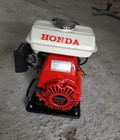 Hình ảnh: Máy bơm nước đồng ruộng Honda GX100 chính hãng,giá rẻ
