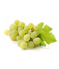 Hình ảnh: Nho xanh