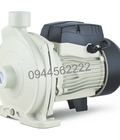 Hình ảnh: Máy bơm ly tâm CPM158-L