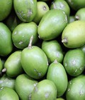 Hình ảnh: Chuyên cung cấp cóc thái, giống quả cóc thái, cóc, cây cóc, quả cóc 0962454799