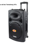 Hình ảnh: Temeisheng DP 107L loa kéo di động, loa kéo đa năng