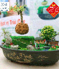 Hình ảnh: Bán cây Bonsai bay (phần 2)  tại Hà nội,trang 0974280485