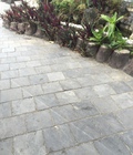 Hình ảnh: Đá lát sân vườn và bể bơi