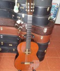Hình ảnh: Matsouka -Aria clasical guiutar M 30 Nhật