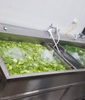 Hình ảnh: BỂ RỬA THỰC PHẨM CÔNG NGHIỆP