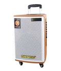 Hình ảnh: Loa vali Kéo Temeisheng GD12-02 Bass 35cm