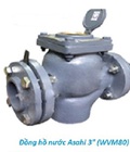 Hình ảnh: Đồng hồ đo lưu lượng nước ASAHI 3