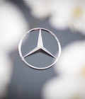 Hình ảnh: Cho thuê xe Mercedes tại Hải Phòng Cưới hỏi đưa đón đối tác VIP 0979.042.246