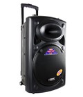 Hình ảnh: Loa kéo đa năngTemeisheng DP2305L bass 30cm