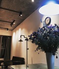 Hình ảnh: Chính chủ cần bán căn hộ cao cấp Thăng Long Number One DT 117m2 giá 4,6 tỷ
