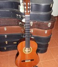 Hình ảnh: Hiroshi Tamura guitar Classico 40 Nhật