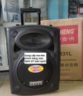 Hình ảnh: Loa kéo di động đa năng Temeisheng DP-131F