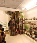 Hình ảnh: Cho thuê nhà mặt phố Bát Đàn MB 55m2 x 3 tầng, MT 4 m