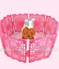 Hình ảnh: Lồng quây nhựa cho chó