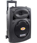 Hình ảnh: Loa kéo di động đa năng Temeisheng DP-131F  Giá bán: 1,850,000 VNĐ