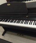 Hình ảnh: ĐÀN PIANO PW7