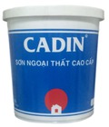 Hình ảnh: Sơn ngoại thất chống thấm , mờ Cadin
