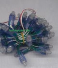 Hình ảnh: Led đúc F8 đế 12 đục