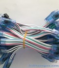 Hình ảnh: LED full color 1903