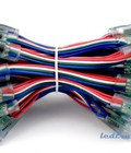Hình ảnh: LED full  color 9803