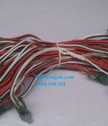 Hình ảnh: LED full color 1903 dây dài 