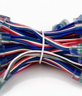 Hình ảnh: Led full color 9883