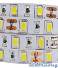 Hình ảnh: Led dây dán 3528