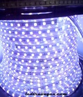Hình ảnh: Led cuộn 5050