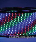 Hình ảnh: LED cuộn 7 màu 