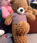 Hình ảnh: Bán buôn bán lẻ gấu bông, gấu teddy giá rẻ nhất Hà Nội Hồ Chí Minh Đà Nẵng