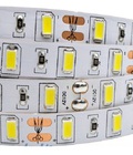 Hình ảnh: LED dây dán 3528