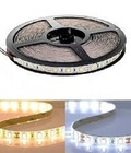 Hình ảnh: LED dây dán 5050