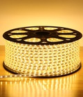 Hình ảnh: LED cuộn 5630