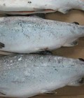 Hình ảnh: Cá hồi đông lạnh