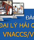 Hình ảnh: Đào tạo chuyên viên xuất nhập khẩu khai hải quan