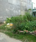 Hình ảnh: Bán lô đất thổ cư đường Nguyễn Văn Bứa, 8x20m, 500tr