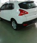 Hình ảnh: Peugeot 3008