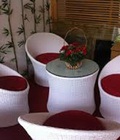 Hình ảnh: các loại bàn ghế nhựa giả mây