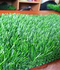 Hình ảnh: Cỏ nhân tạo sân vườn thân thiện với môi trường