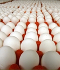 Hình ảnh: Bán trứng gà ta siêu sạch tại An Dương, Hải phòng