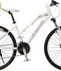 Xe đạp Maruishi Nhật Bản Isabella 500