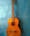 Hình ảnh: Morris guitar C 500 Tây ban Nha