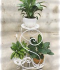 Hình ảnh: Sắt nghệ thuật- Chân Chậu Cây 004