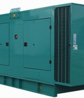 Hình ảnh: Máy phát điện Cummins 300kva 330kva