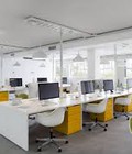 Hình ảnh: Cho thuê văn phòng trọn gói khu Dịch Vọng, cầu Giấy