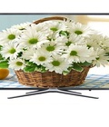 Hình ảnh: SMART TIVI SAMSUNG 43 INCH 43M5500, FULL HD về hàng giá ưu đãi