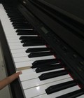 Hình ảnh: ĐÀN PIANO PW 7