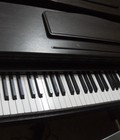 Hình ảnh: Đàn Piano Columbia Elepian EP 2300 